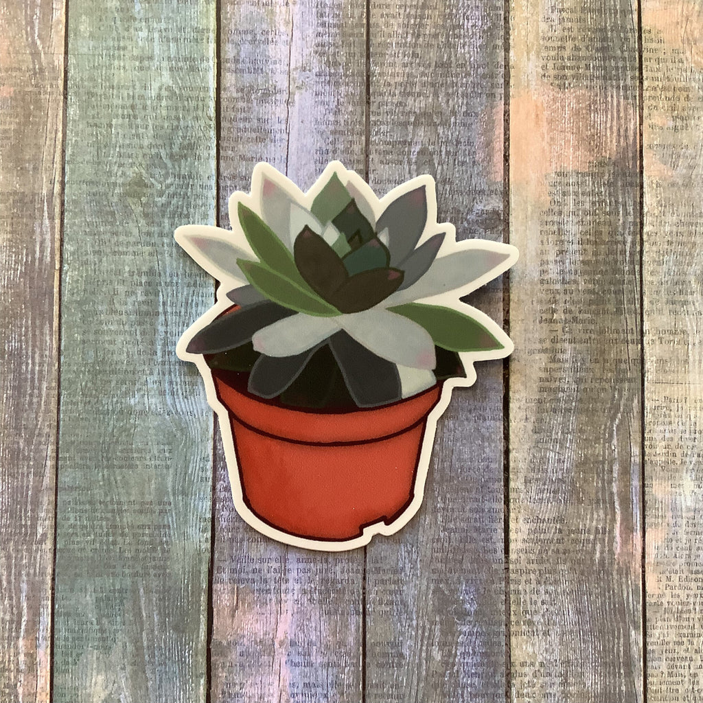 Potted Succulent Vinyl Waterproof Sticker