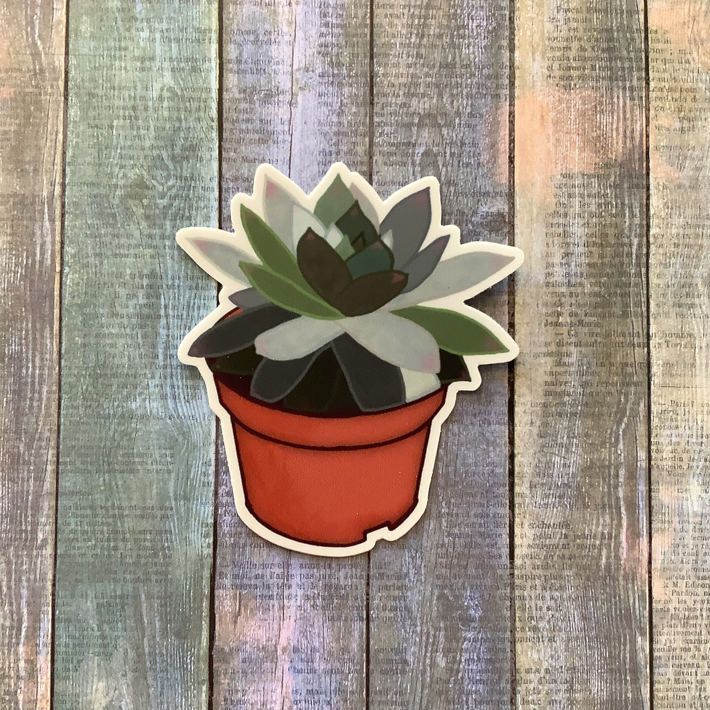 Potted Succulent Vinyl Waterproof Sticker