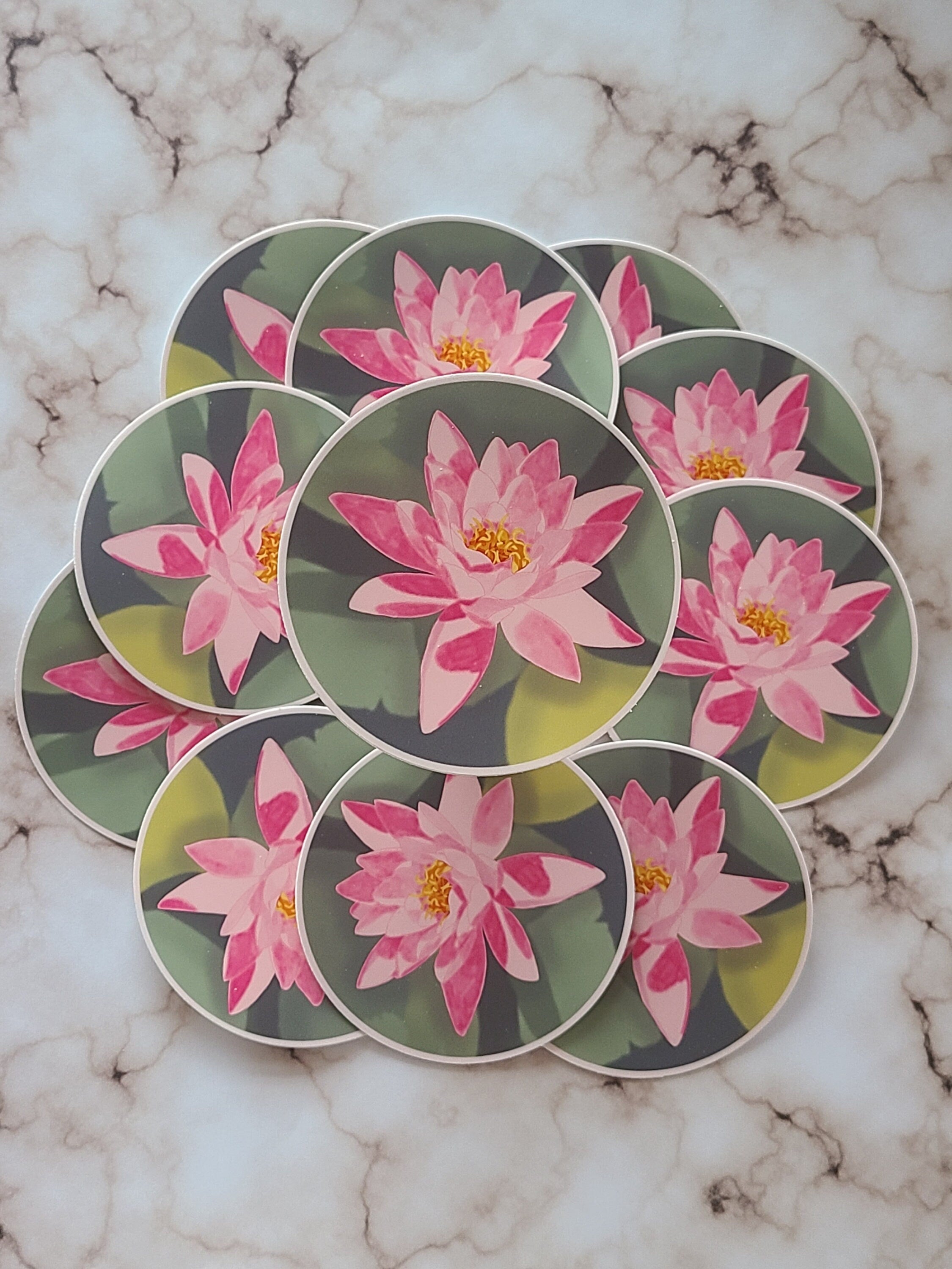 Pink Water Lilly - Vinyl Sticker
