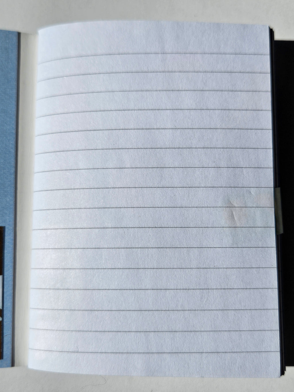 Mini Composition Notebook - Jungle and Plant Life Patterns (Multiple Cover Options)