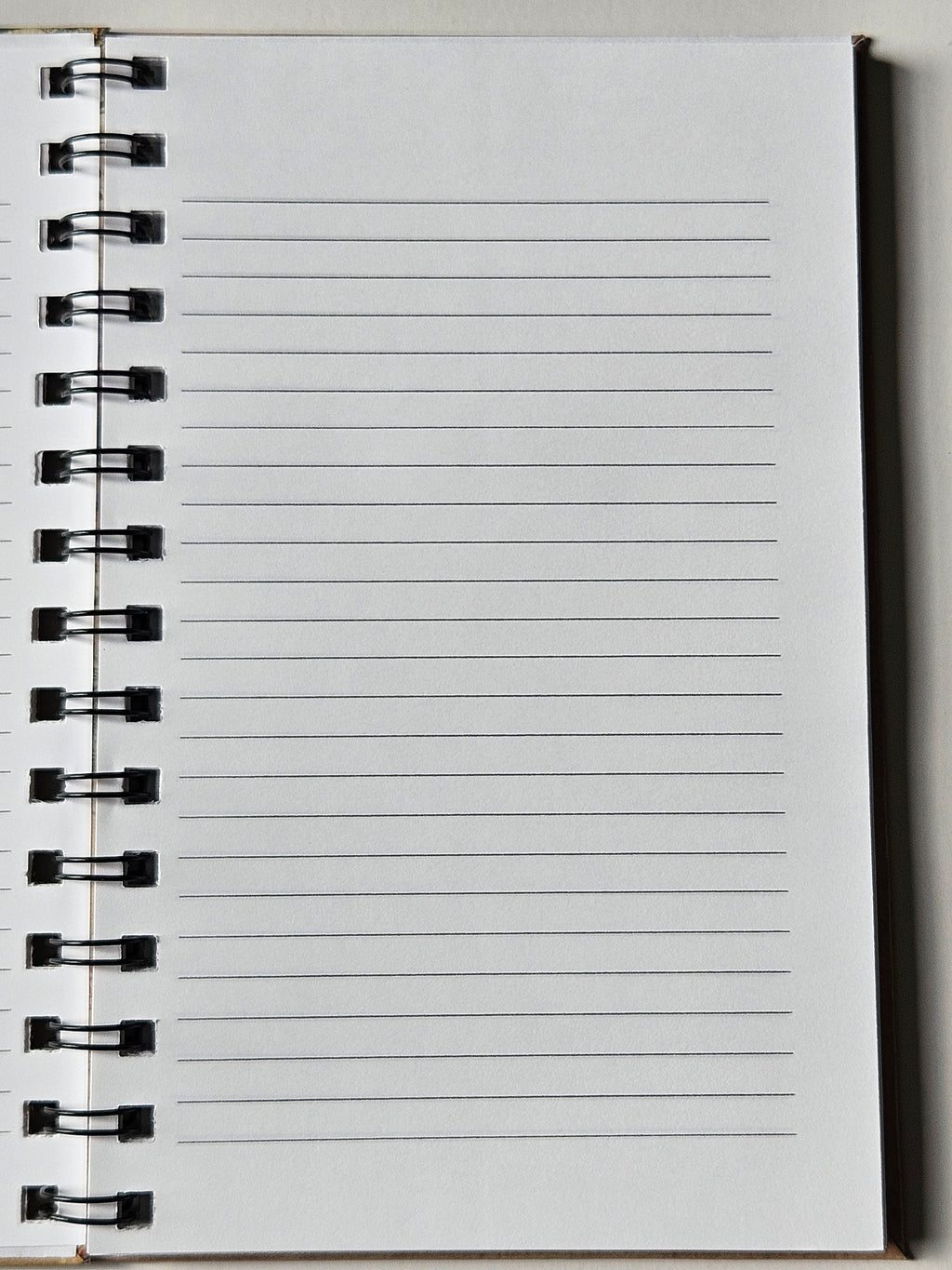 Lined Notebook - Small (Multiple Cover Options)