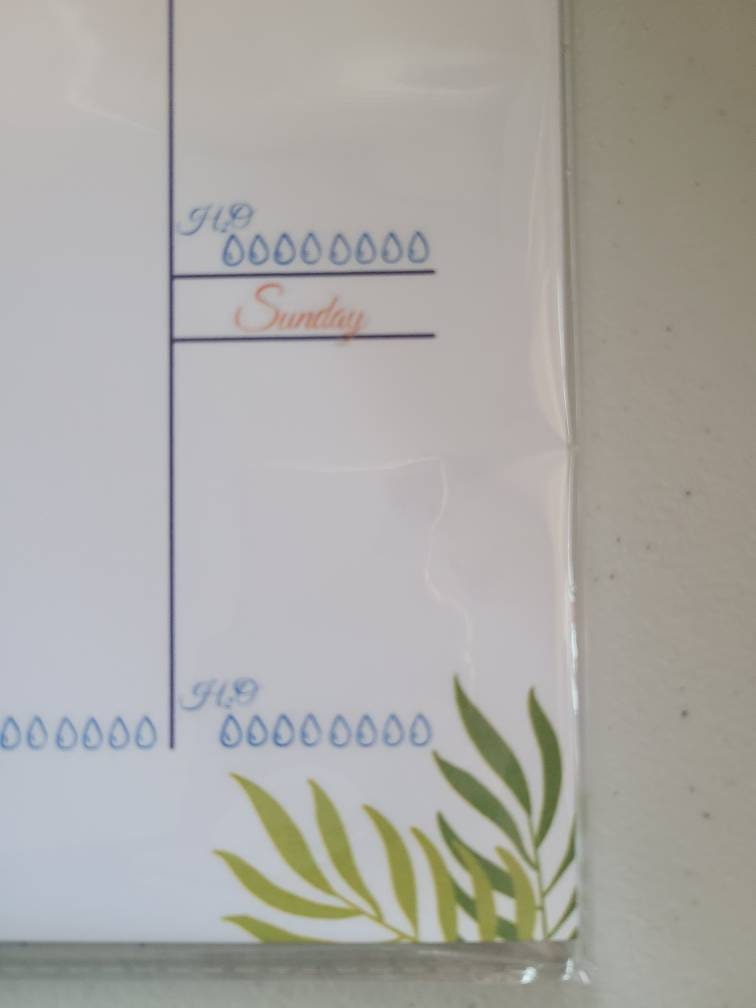 Weekly Planner Notepad- Tangerine Hibiscus (53 sheets) 8.5" x 11"