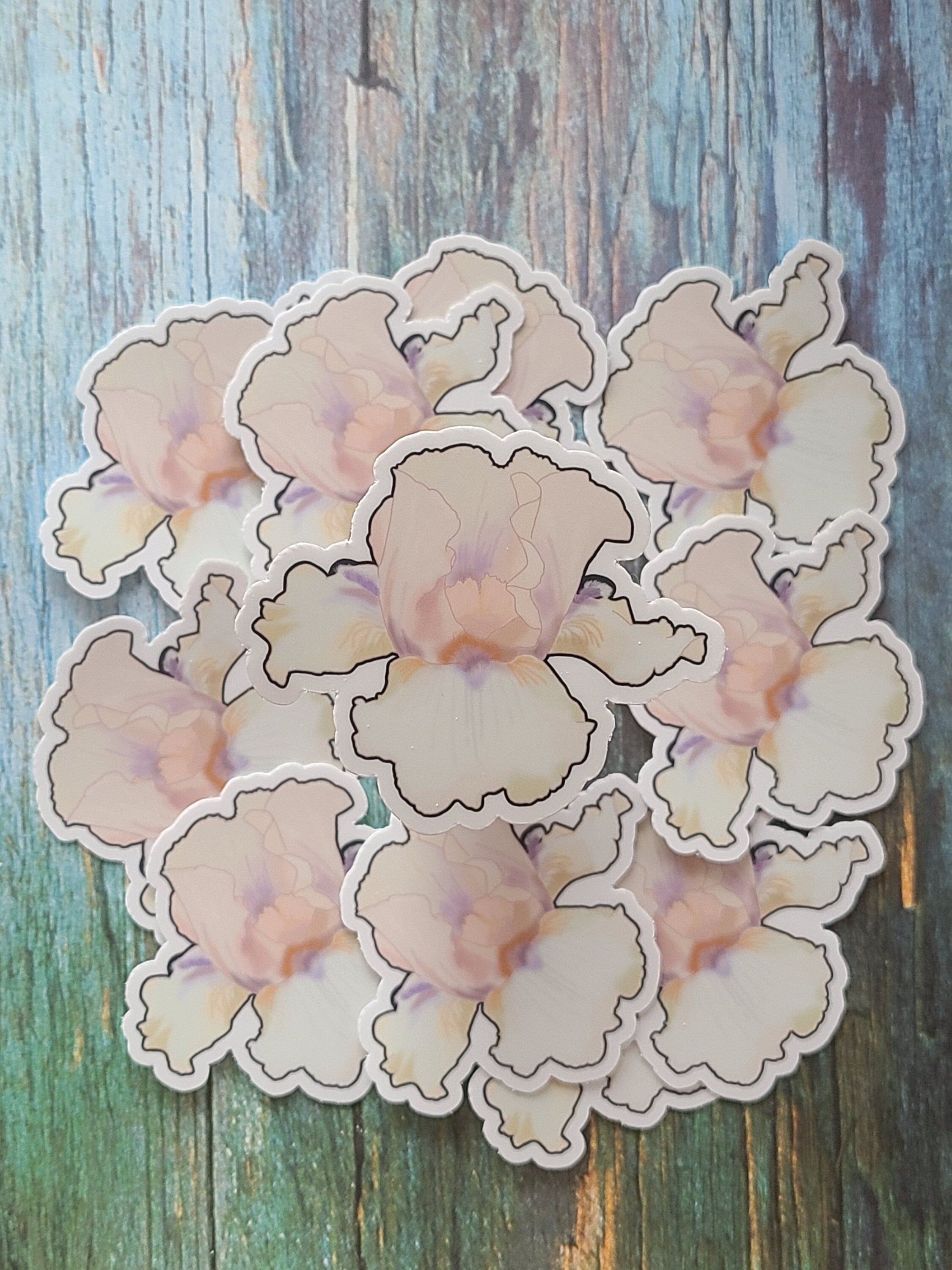 White and Purple Iris - Vinyl Sticker
