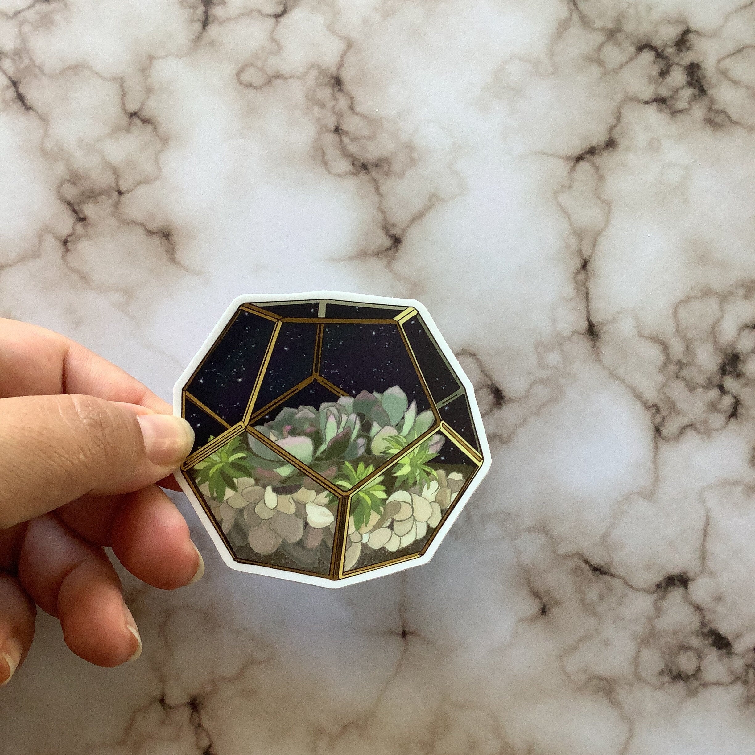 Night Sky Succulent Terrarium - Vinyl Sticker