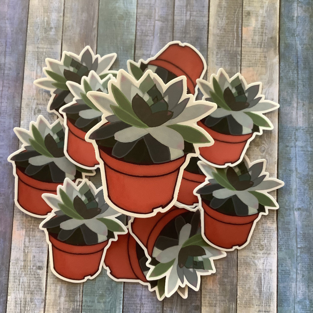 Potted Succulent Vinyl Waterproof Sticker