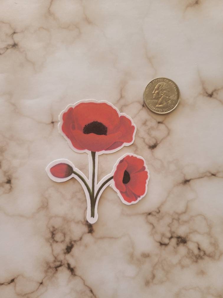 Beautiful Red Poppies - Vinyl Sticker