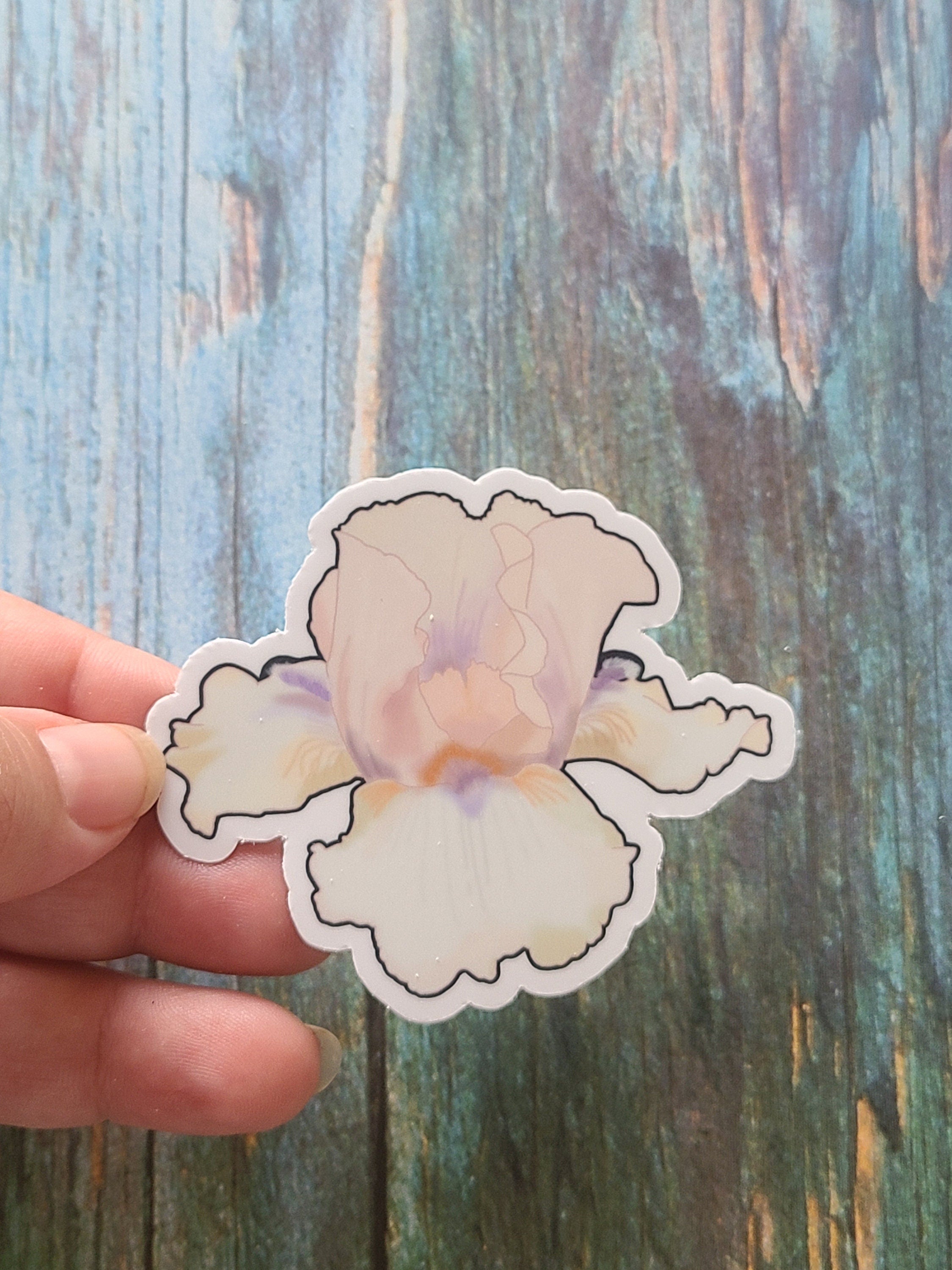 White and Purple Iris - Vinyl Sticker