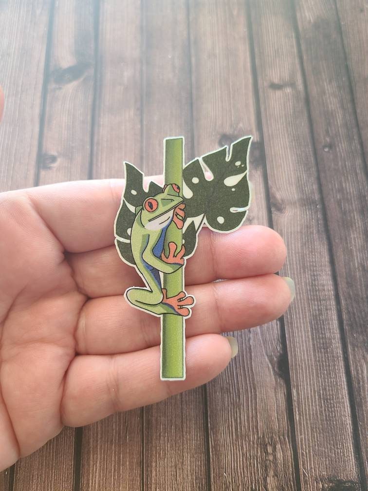 Colorful Tree Frog - Vinyl Sticker