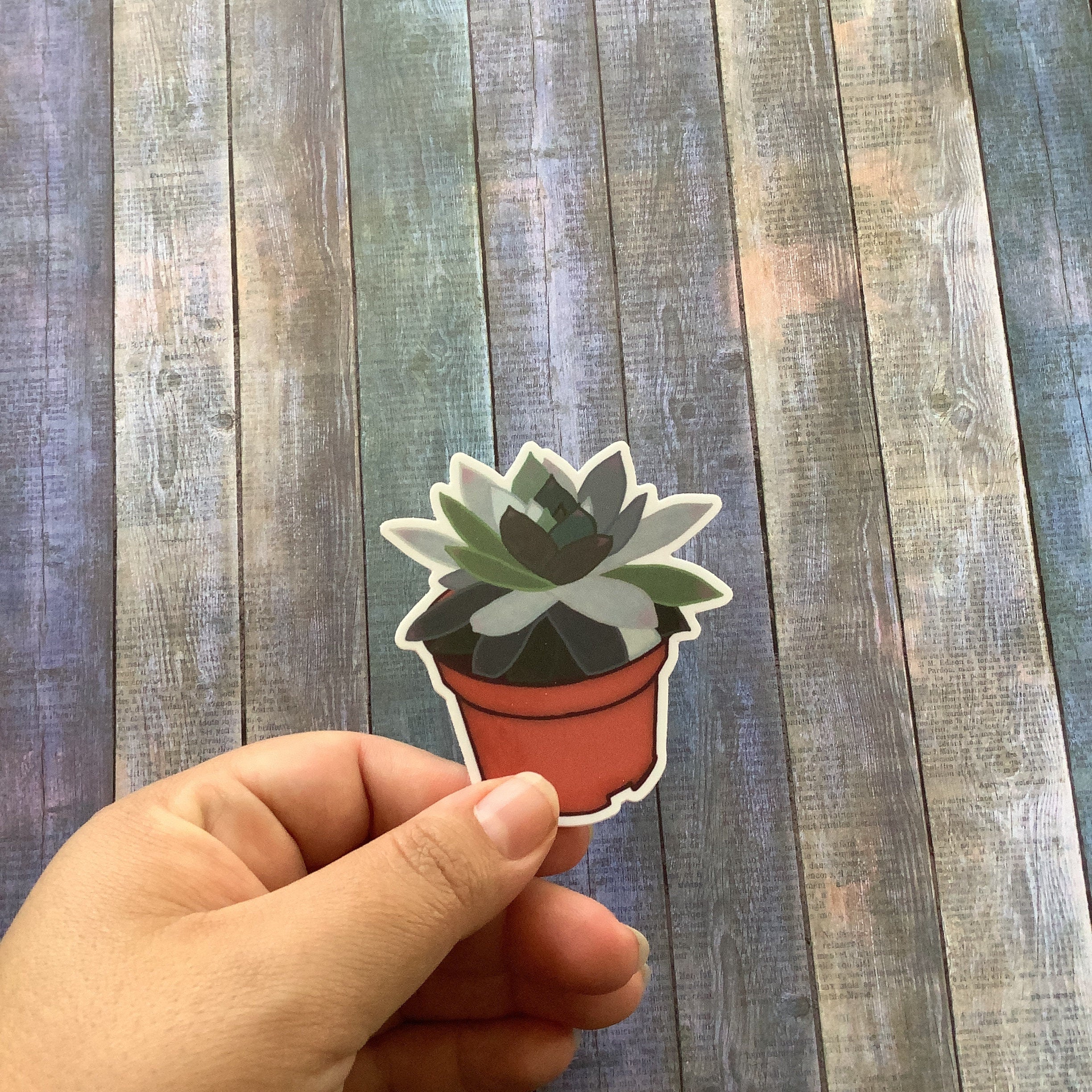 Potted Succulent Vinyl Waterproof Sticker