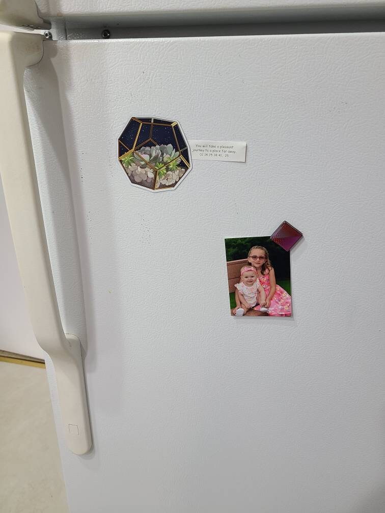 Night Sky Succulent Terrarium - Fridge Magnet