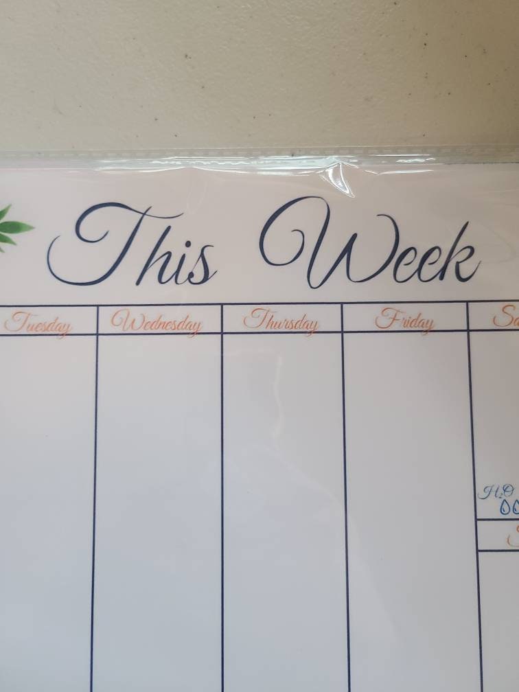 Weekly Planner Notepad- Tangerine Hibiscus (53 sheets) 8.5" x 11"