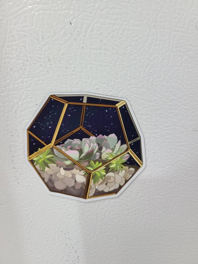 Night Sky Succulent Terrarium - Fridge Magnet