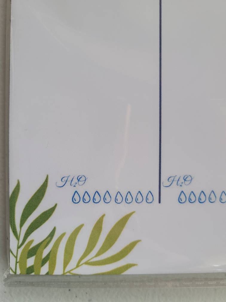 Weekly Planner Notepad- Tangerine Hibiscus (53 sheets) 8.5" x 11"