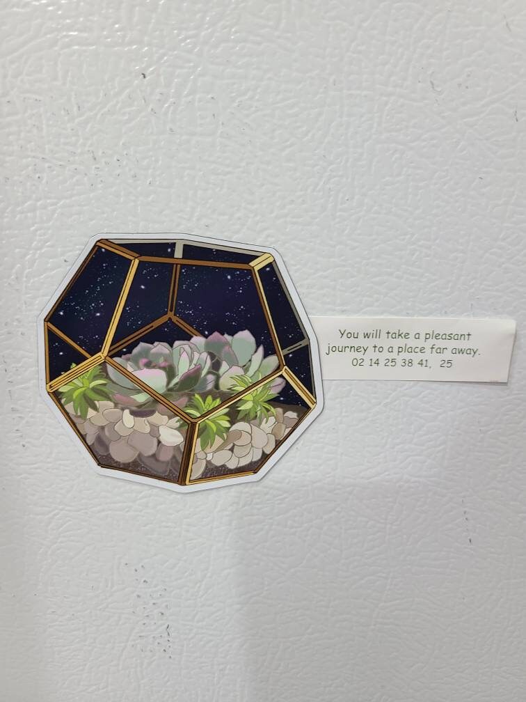 Night Sky Succulent Terrarium - Fridge Magnet