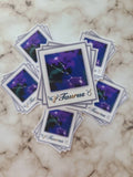 Taurus Zodiac Constellation - Vinyl Sticker