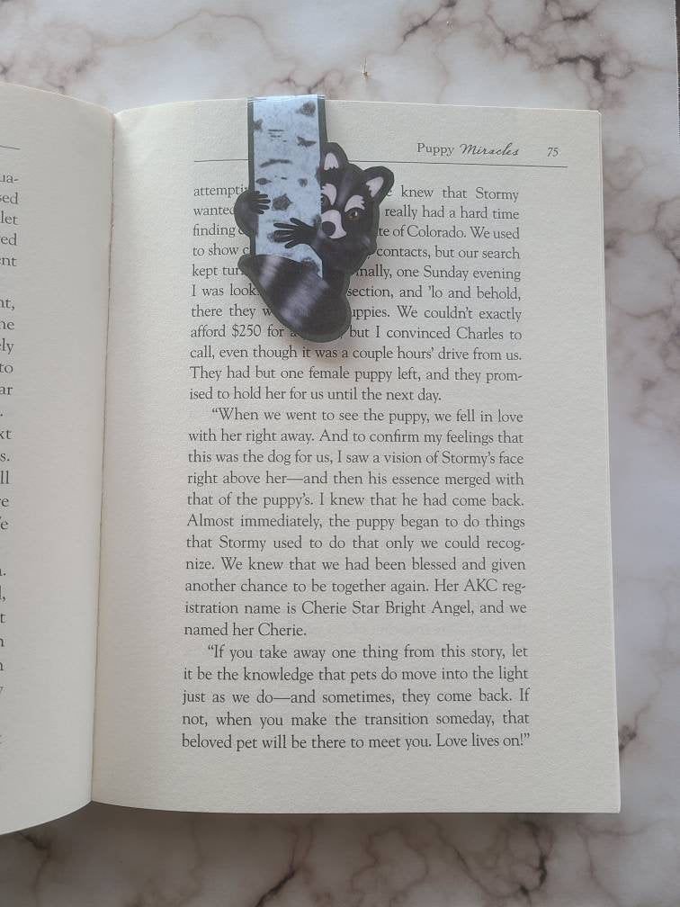 Racoon in Aspen Tree Magnetic Bookmark
