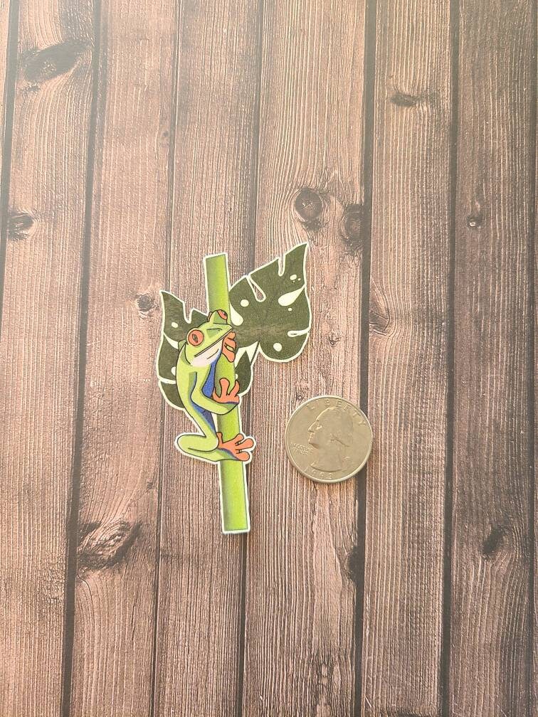 Colorful Tree Frog - Vinyl Sticker