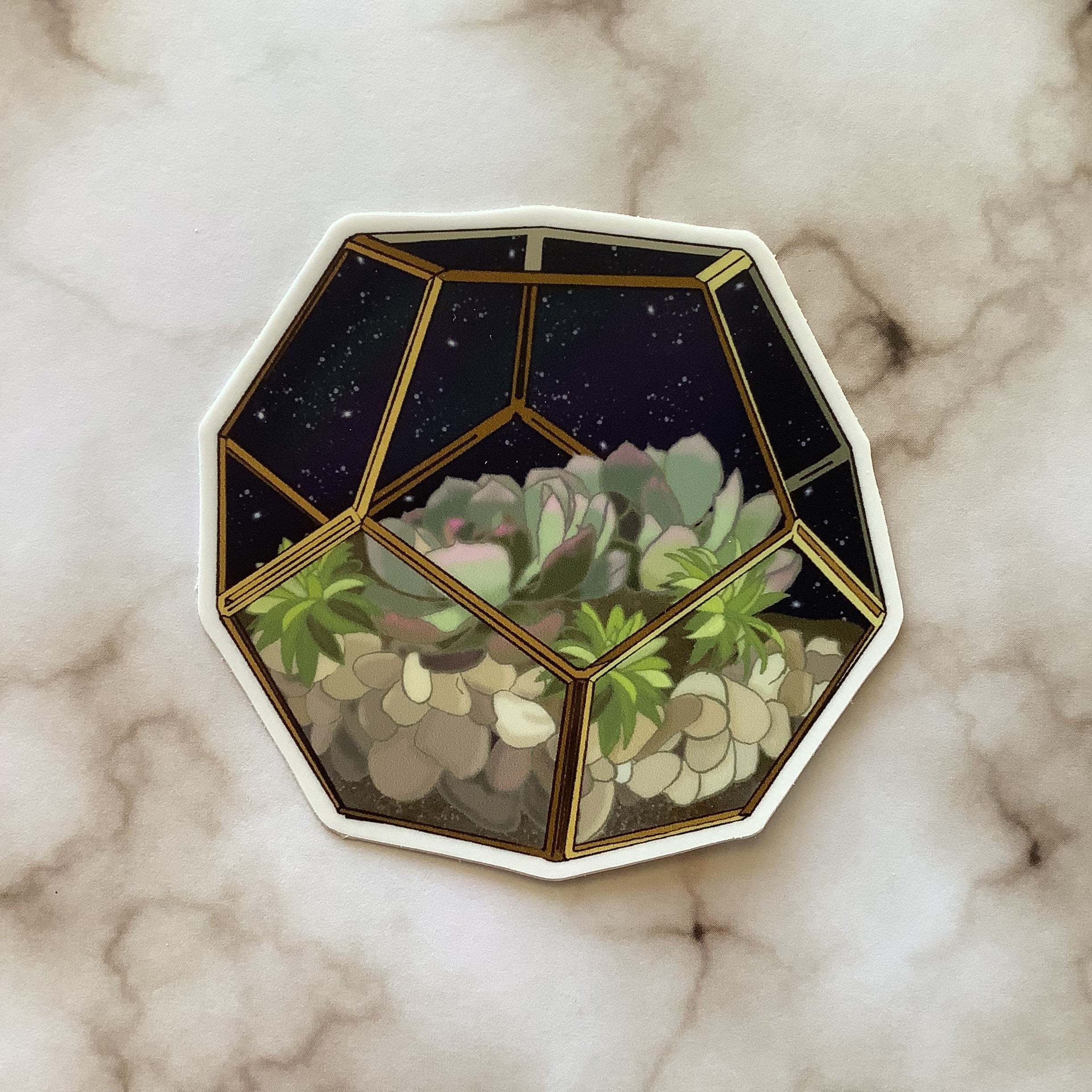 Night Sky Succulent Terrarium - Vinyl Sticker